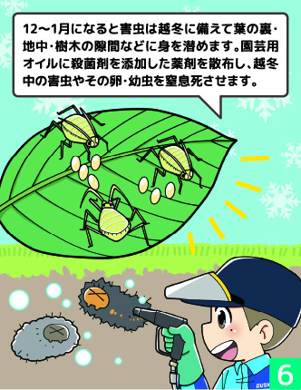漫画のコマ 6: 越冬害虫の駆除