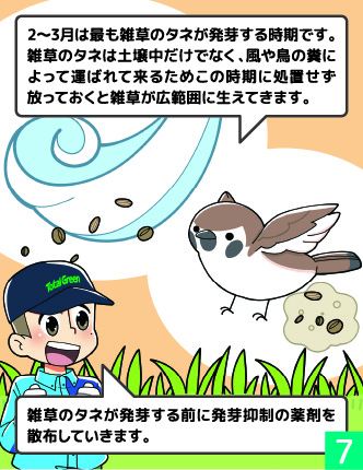 漫画のコマ 7: 鳥のふん対策